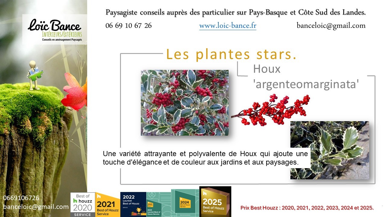 Houx; Paysages; Jardins; Radio; Jardins d'ici; Am�nagements paysagers; Landes; Paysagiste Landes; Pays Basque; Paysagiste Pays Basque; Concepteur de jardins; Ahetze; Paysagiste Ahetze; Anglet; Paysagiste Anglet; Arbonne; Paysagiste Arbonne; Arcangues; Paysagiste Arcangues; Bayonne; Paysagiste Bayonne; Biarritz; Paysagiste Biarritz; Capbreton; Paysagiste Capbreton; Gu�thary; Paysagiste Gu�thary; Hossegor; Paysagiste Hossegor; Saint Jean de Luz; Paysagiste Saint Jean de Luz; Seignosse; Paysagiste Seignosse; Tosse; Paysagiste Tosse; Dax; Paysagiste Dax; Mont de Marsan 40000; Paysagiste Mont de Marsan; Paysagiste Brassempouy; Brassempouy 40330; Paysagiste Ahaxe-Alciette-BascassanAhaxe-Alciette-Bascassan 64220; Saint-Pandelon 40180; Paysagiste Saint-Pandelon; Ascain 64310; Paysagiste Ascain; Amou 40330; Paysagiste Amou; Louhossoa 64250; Paysagiste Louhossoa; 