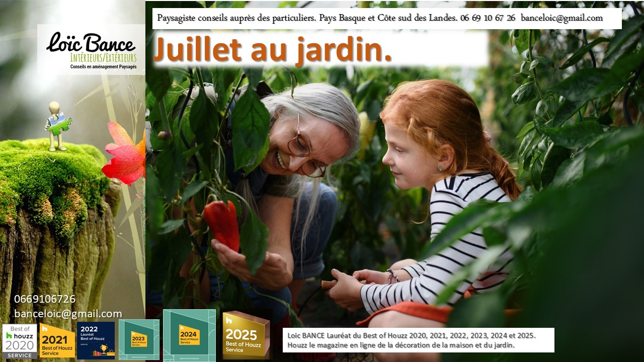 Paysagiste Landes; Pays Basque; Landes; Paysages; Paysagiste; Juillet; Jardins; Travaux; Ornemental; Potager; Fruitiers; Ahetze; Paysagiste Ahetze; Anglet; Anglet Paysages; Bayonne; Paysagiste Bayonne; Capbreton; Paysagiste Capbreton; Guthary; Paysagiste Guthary; 